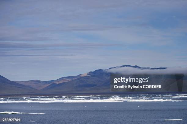 Federation de Russie, Province autonome de Chukotka, ile de Wrangel, Banquise. Russia, Chukotka autonomous district, Wrangel island, Pack ice.