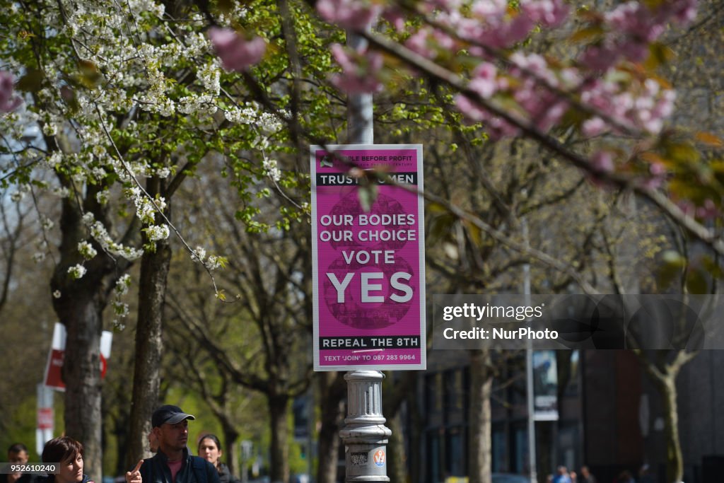 The Referendum Campaign in Ireland