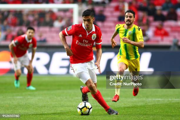 Benfcas Forward Raul Jimenez from Mexico during the Premier League 2017/18 match between SL Benfica vs CD Tondela, at Estadio da Luz in Lisbon on...