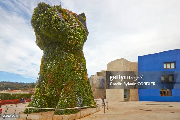 Le musée Guggenheim de Bilbao est un musée d'art moderne et contemporain situé à Bilbao au Pays basque espagnol qui a ouvert au public en 1997. ....