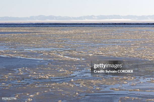 Etats Unis, Alaska, Refuge faunique national arctique, Kaktovik, formation de la banquise dans la lagune et dans la mer. United States, Alaska,...