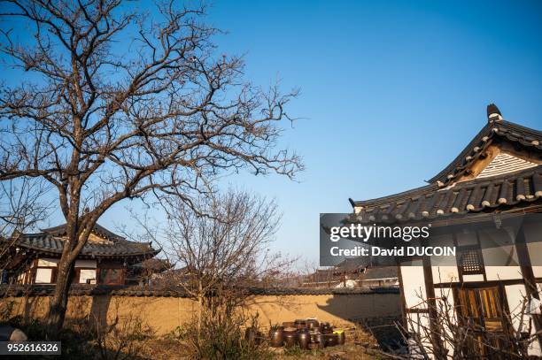 Hahoe historical village near Andong city, Gyeongsangbuk province, Korea.