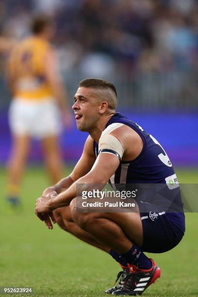 Stephen Hill of the Dockers looks on after the final siren during the Round 6 AFL match between the Fremantle Dockers and West Coast Eagles at Optus...