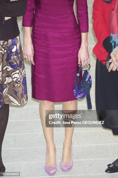 Princess Letizia of Spain attends a meeting with 'LiderA' at Canal Theater on March 9, 2010 in Madrid, Spain.