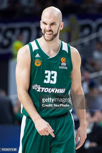 Nick Calathes of Panathinaikos Superfoods Athens reacts during the Turkish Airlines Euroleague Play Offs Game 4 between Real Madrid v Panathinaikos...