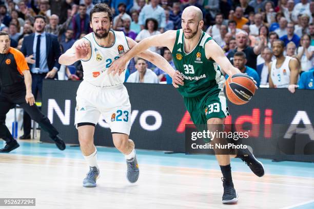 Nick Calathes, #33 of Panathinaikos Superfoods Athens vies Sergio Llull of Real Madrid during the Turkish Airlines Euroleague Play Offs Game 4...