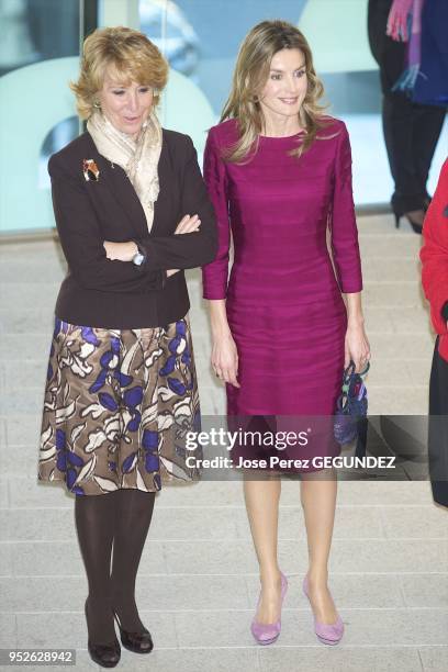 Princess Letizia of Spain attends a meeting with 'LiderA' at Canal Theater on March 9, 2010 in Madrid, Spain.