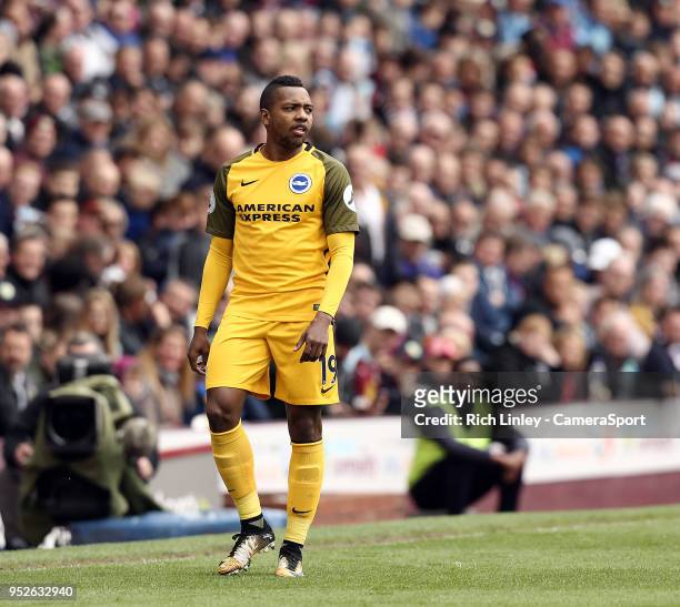 Brighton & Hove Albion's Jose Izquierdo during the Premier League match between Burnley and Brighton and Hove Albion at Turf Moor on April 28, 2018...