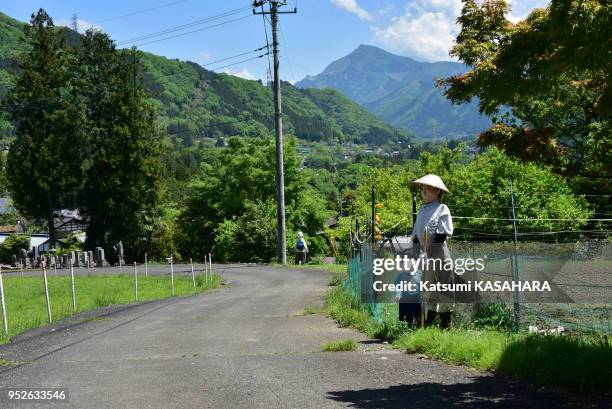Epouvantail fait main disposé en bordure de route dans le village de Niegawa pour lutter contre la désertification rurale, le 6 mai 2016, près de la...