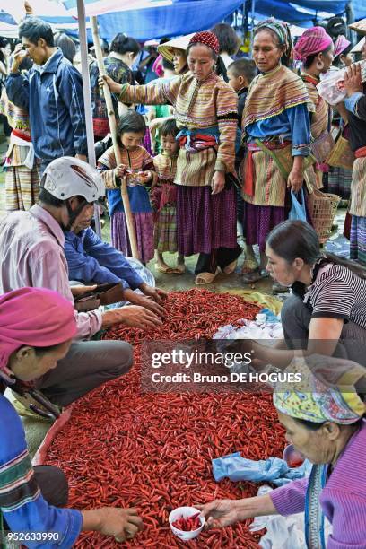 Flower Hmong women in traditional dress buying red hot peppers on June 12, 2011 in Lao Cai, Vietnam.