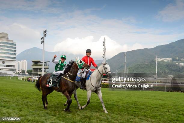William Buick riding Pakistan Star after winning Race 8, Audemars Piguet QE11 Cup on Champions Day at Sha Tin racecourse on April 29, 2018 in Hong...