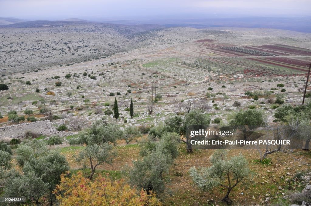 Aleppo region, Syria