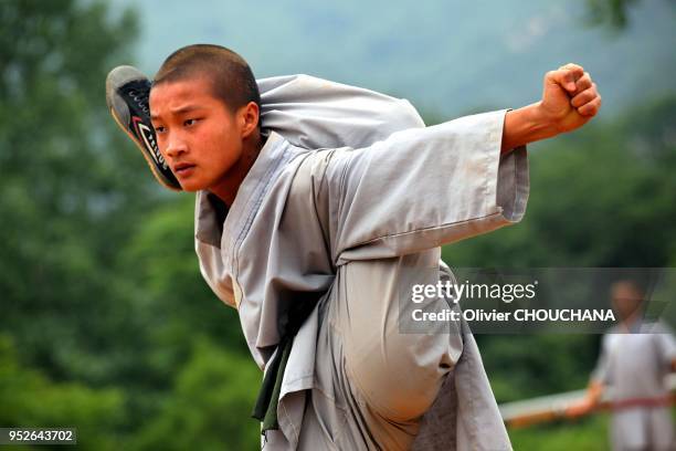 Un jeune etudiant en kung fu, esperant faire un jour parti des celebres moines guerriers du temple de Shaolin, s'entraine dans la province du Henan,...