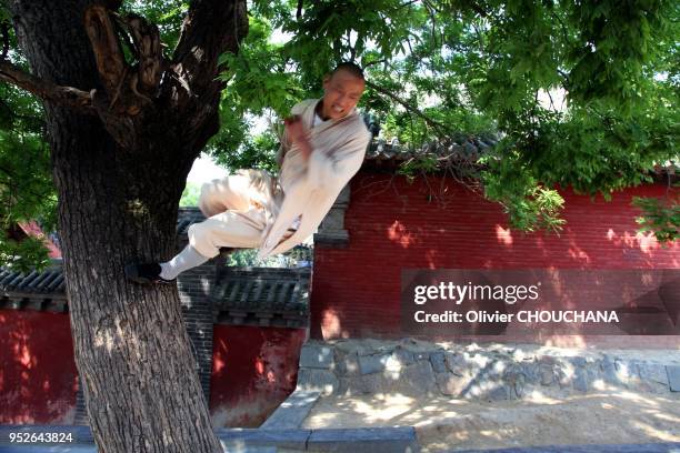 Un moine guerrier du celebre temple de Shaolin grimpe en courant sur le tronc d'un arbre pour parfaire son equilibre et sa condition physique dans la...