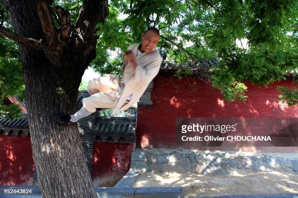 Un moine guerrier du celebre temple de Shaolin grimpe en courant sur le tronc d'un arbre pour parfaire son equilibre et sa condition physique dans la...