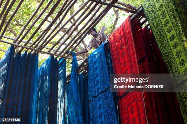 Travailleur assis sur un séchoir en bambous et étendant des saris pour le séchage, le 2 décembre 2014 à Sanganer près de Jaipur, Rajasthan, Inde.