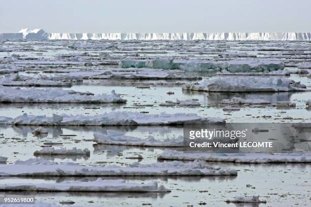 Débris de banquise et icebergs dérivent sur l?Océan Antarctique, au large de Pointe Géologie en Antarctique , en janvier 2009.