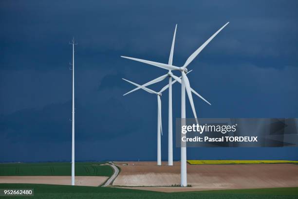 Eoliennes dans un champ dans l'Oise.