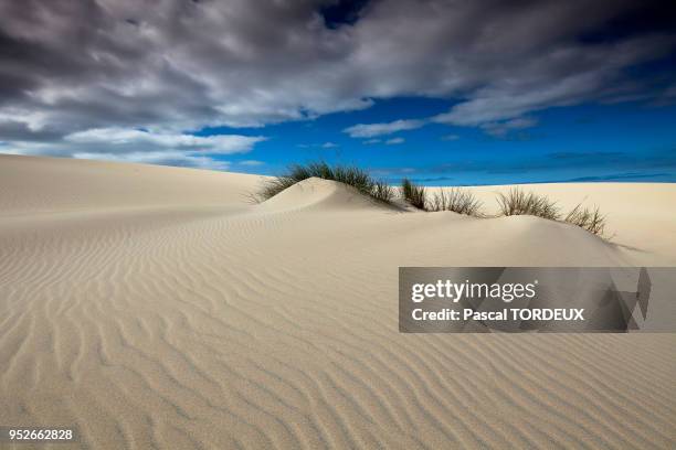 Paysage désertique de sable blanc.
