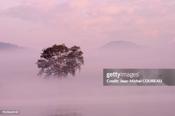 Mist in the sunrise on the river.