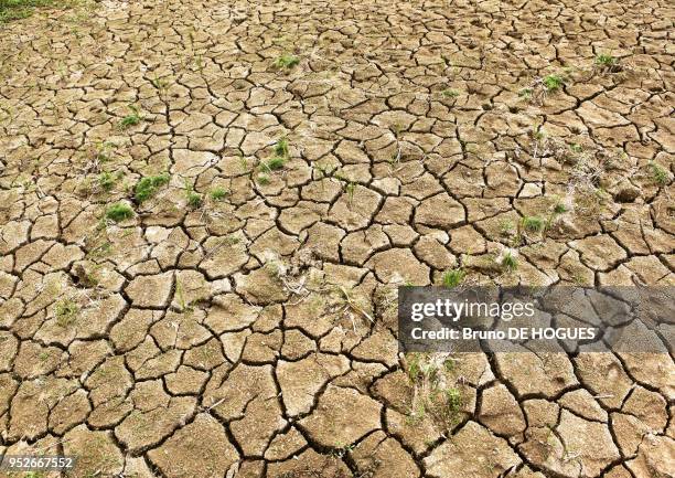 Ground cracked by the drought on March 15, 2012 in Mai Chau, Hoa Binh, Vietnam.