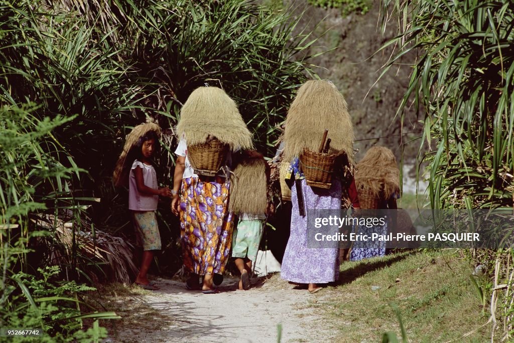 Ivatan Rituals Ivatan people going farming always carry a basket strapped to their ...