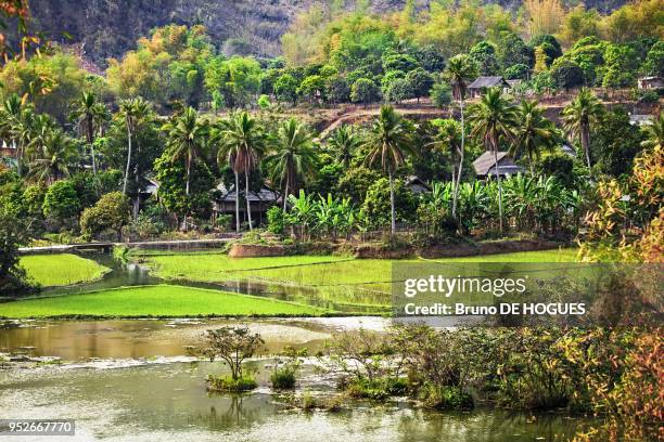 Traditional Thai houses on pilings on March 15, a village near Mai Chau, 2012 in Hoa Binh, Vietnam.