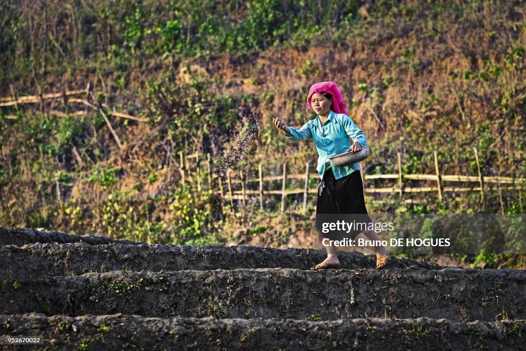 Tu Le Landscape, Vietnam