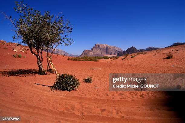 Desert du Wadi Rum en Jordanie dans la region d'Aqaba.