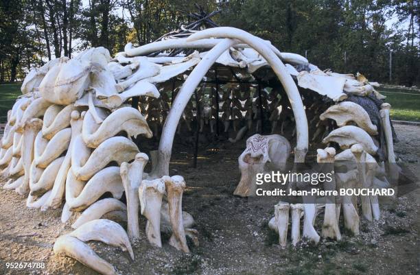 Reconstitution d'une hutte d'hommes de Cro-Magnon , en os de mammouth, découverte en Sibérie, . Cette hutte est datée d'environ 16000 ans av.JC. Elle...
