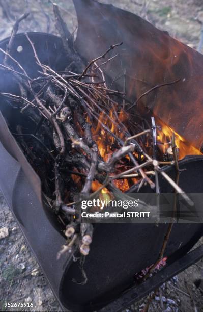 Feu Pascal Photos and Premium High Res Pictures - Getty Images