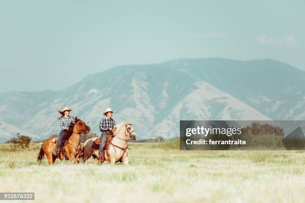 caballo de pareja de vaquero - cuarto de milla fotografías e imágenes de stock