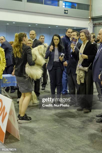 The Queen Sofia of Spain is seen during the visit to the fair 100 × 100 Mascota held at Ifema in Madrid, Spain on April 29, 2018.