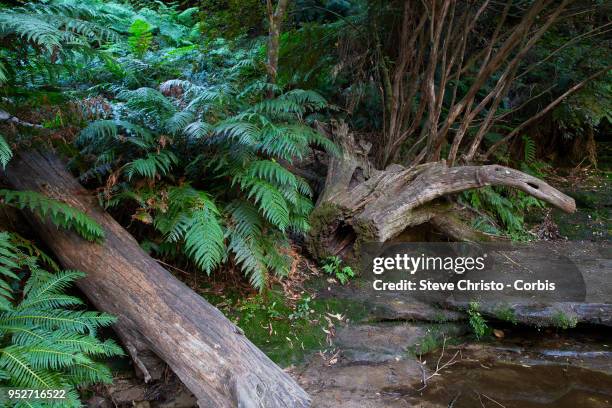 The Three Sisters is essentially an unusual rock formation representing three sisters who according to Aboriginal legend were turned to stone.The...