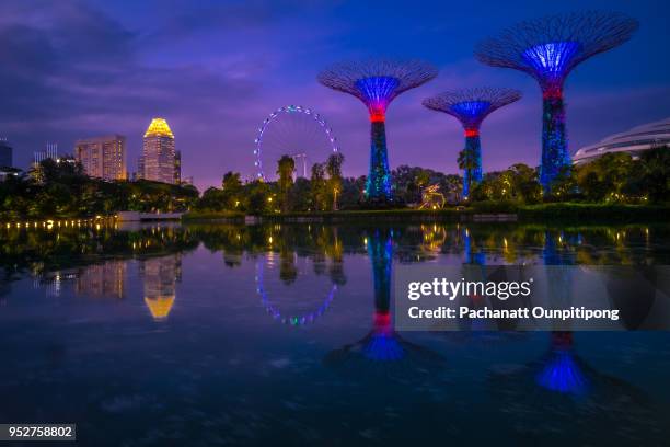 singapore cityscape at sunset with business buildings, ferris wheel, tree-like structures and waterfront - treelike stock pictures, royalty-free photos & images