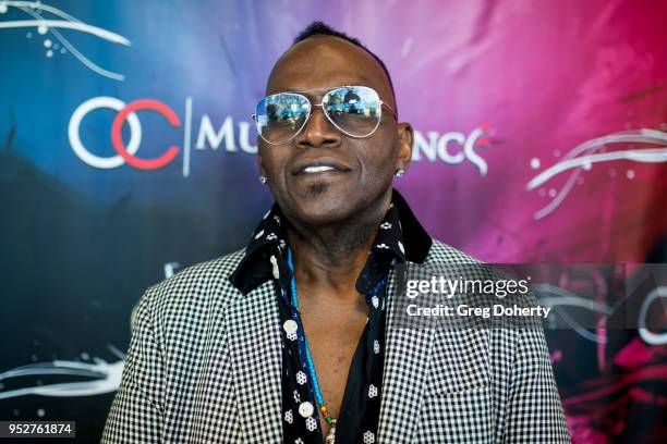 Randy Jackson attends the Orange County Music And Dance And "From Classical To Rock" Charity Concert at University of California at Irvine on April...