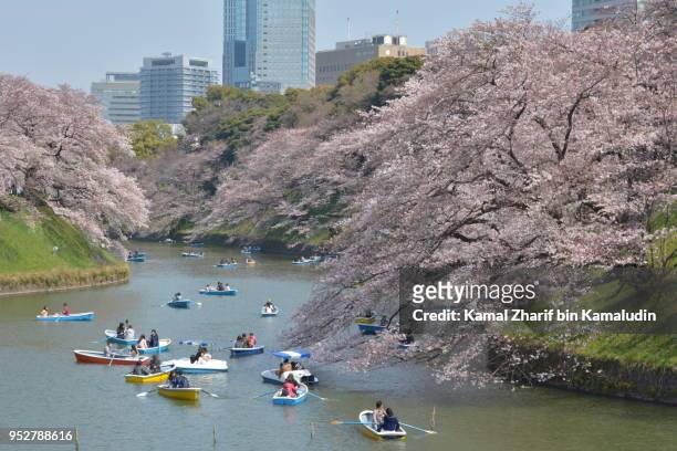 sakura in tokyo city center - kamal zharif stockfoto's en -beelden