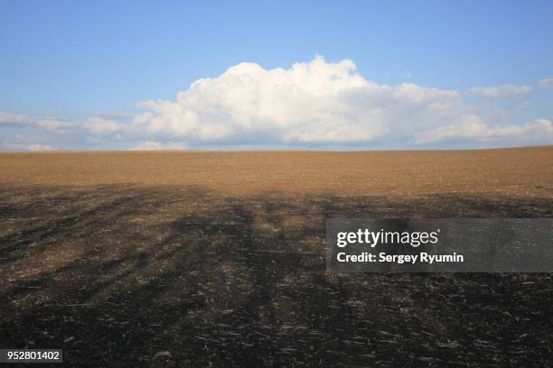 4,220 Fallow Field Stock Photos, High-Res Pictures, and Images - Getty ...