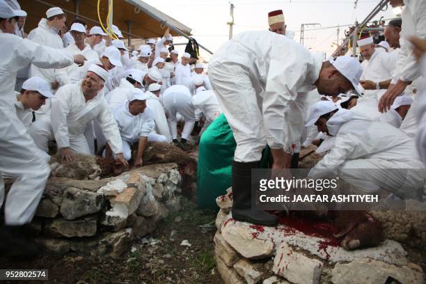 Samaritans take part in the traditional Passover sacrifice ceremony, where sheep and goats are slaughtered, at Mount Gerizim near the northern West...