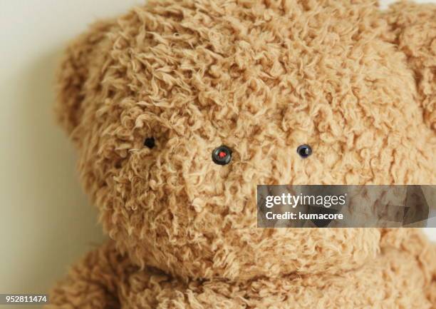 teddy bear face,close up - teddy bear on white foto e immagini stock