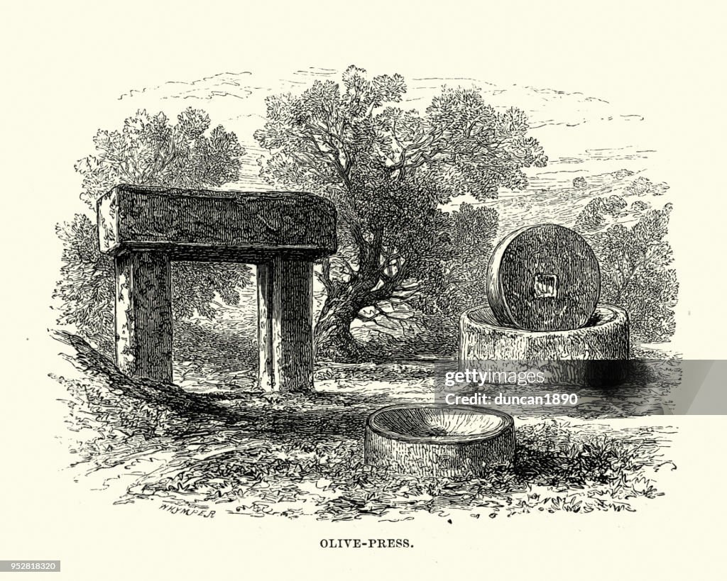 Ancient Olive Press used for making olive oil