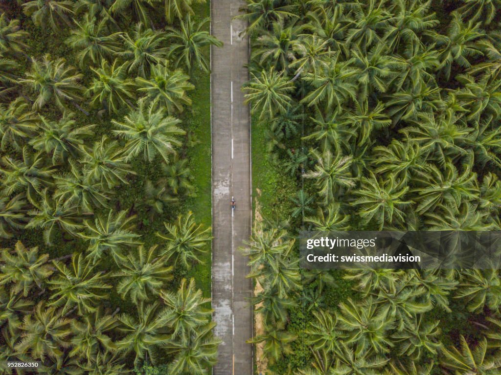 Vista aérea do homem dirigindo a moto na estrada de árvores de palma nas Filipinas