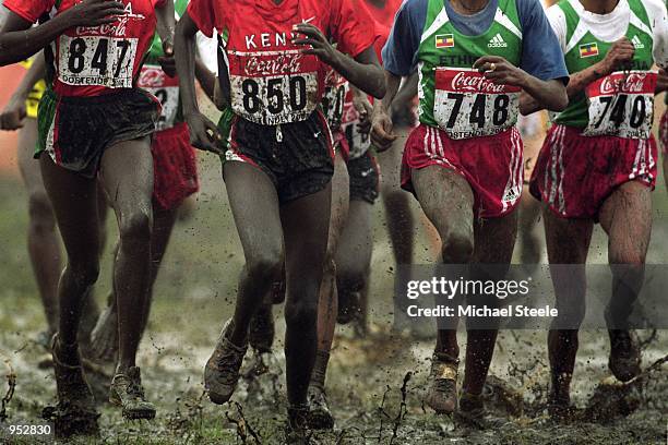 The Kenyan and Ethiopian runners make light of the muddy conditions during the Womens Junior Race at the 29th IAAF World Cross Country Championships...