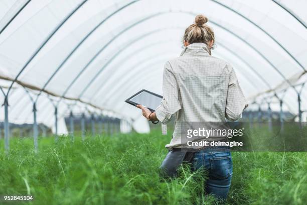 légumes de contrôle agriculteur à effet de serre - agriculture innovation photos et images de collection