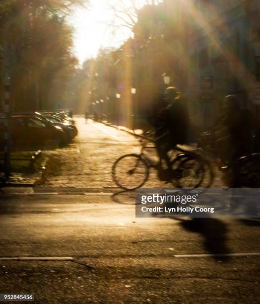 defocused cyclists on dutch road in golden hour - lyn holly coorg stock pictures, royalty-free photos & images