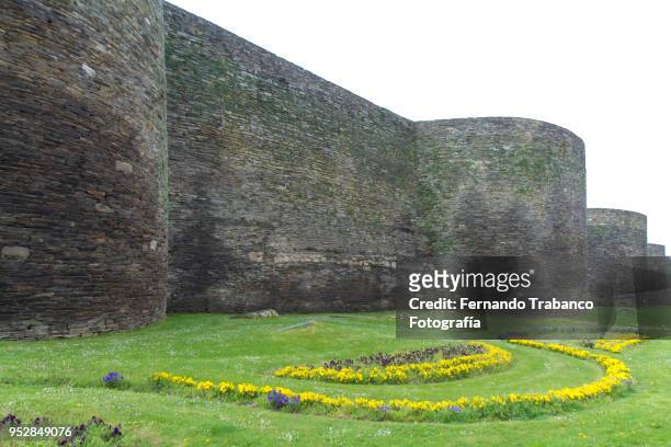 roman wall in spring - fernando lugo stock pictures, royalty-free photos & images