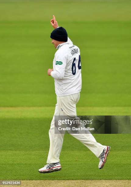 Peter Siddle of Essex celebrates taking the wicket of Rilee Rossouw of Hampshire during day four of the Specsavers County Championship Division One...