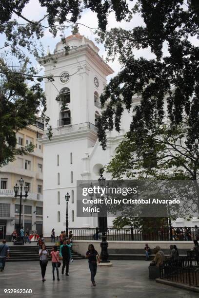cathedral of caracas - alvarado minic stock pictures, royalty-free photos & images