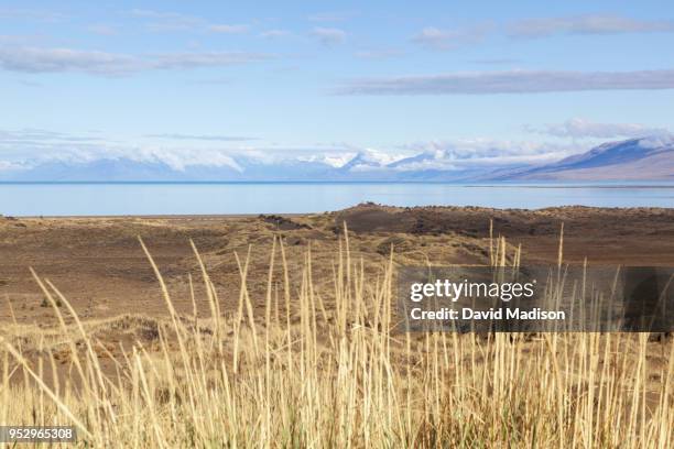 viedma lake in patagonia, argentina - pampa argentine stock-fotos und bilder