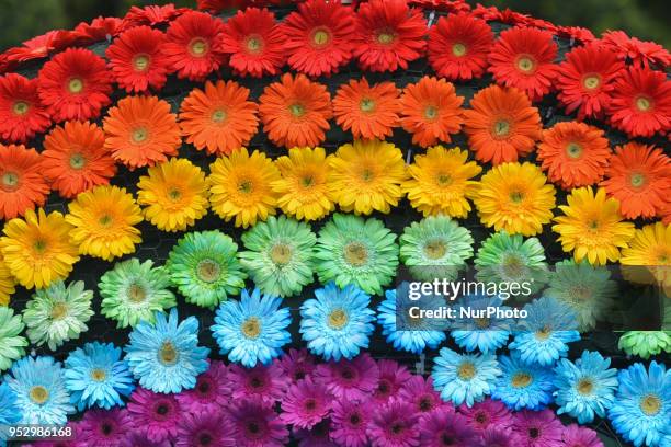 Colorful floral composition seen during the Madeira Flower Festival Parade 2018 in Funchal, the capital of Madeira Island. The Flower Festival is one...